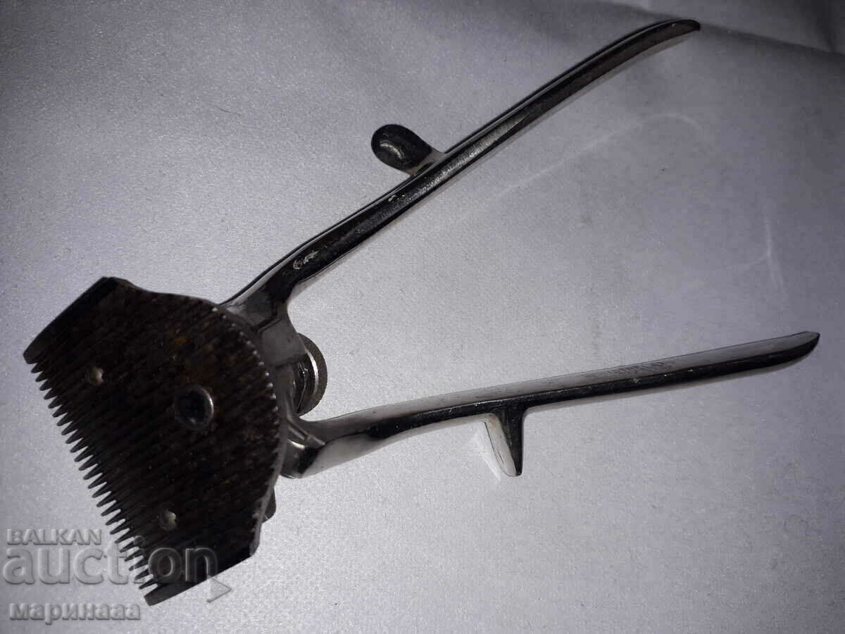 OLD CLIPPER. GDR with price 5.00 BGN | € 2.56