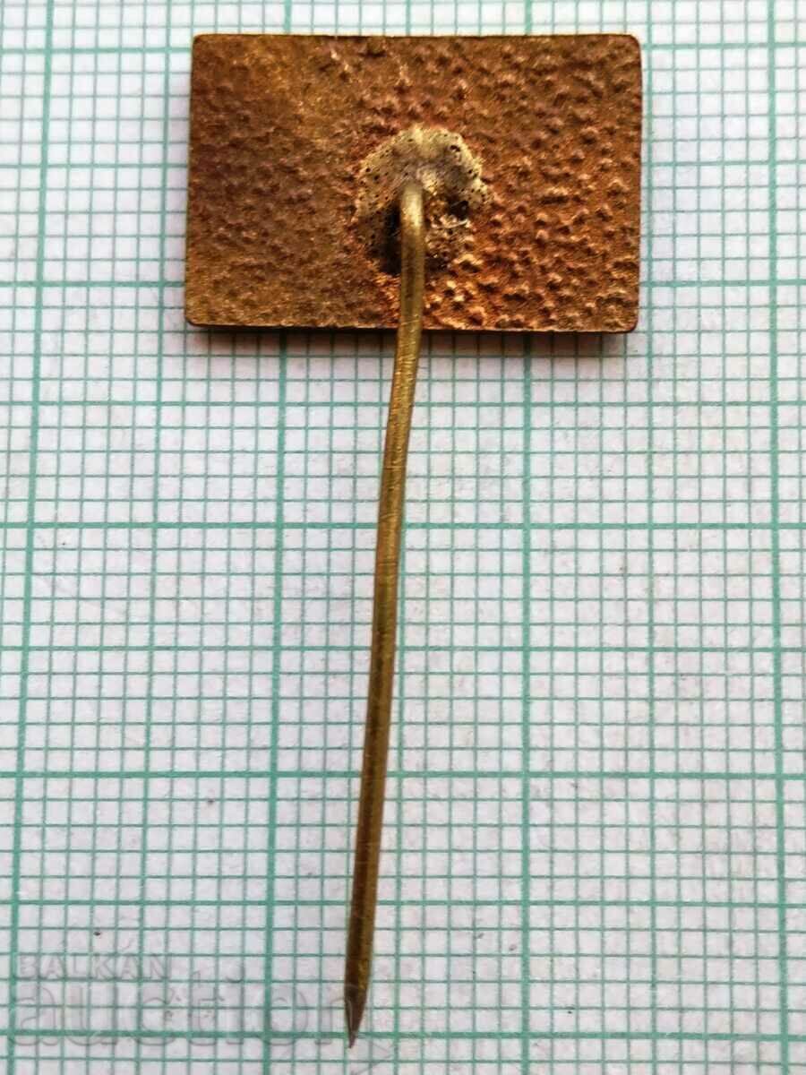 11582 Badge - company Miscellaneous - bronze enamel with price 3.00 BGN | € 1.53 11582 Badge - company Miscellaneous - bronze enamel with price 3.00 BGN | € 1.53