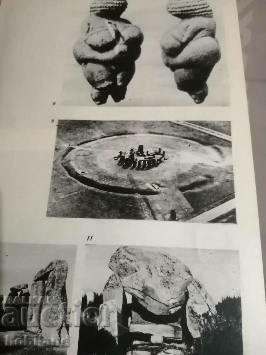 Auction  History of experience