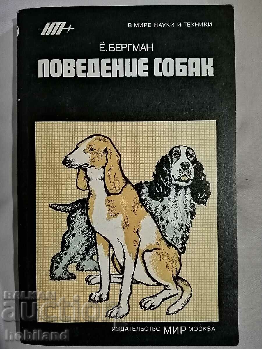 Συμπεριφορά σκύλου