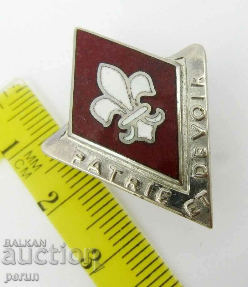 Delivery of American Badge-Boy Scout Badge-Country and Duty-Email Delivery of American Badge-Boy Scout Badge-Country and Duty-Email