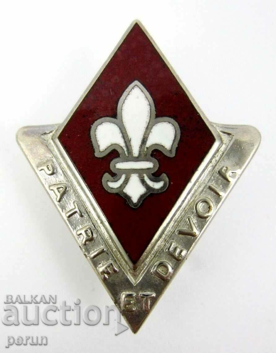 American Badge-Boy Scout Badge-Country and Duty-Email