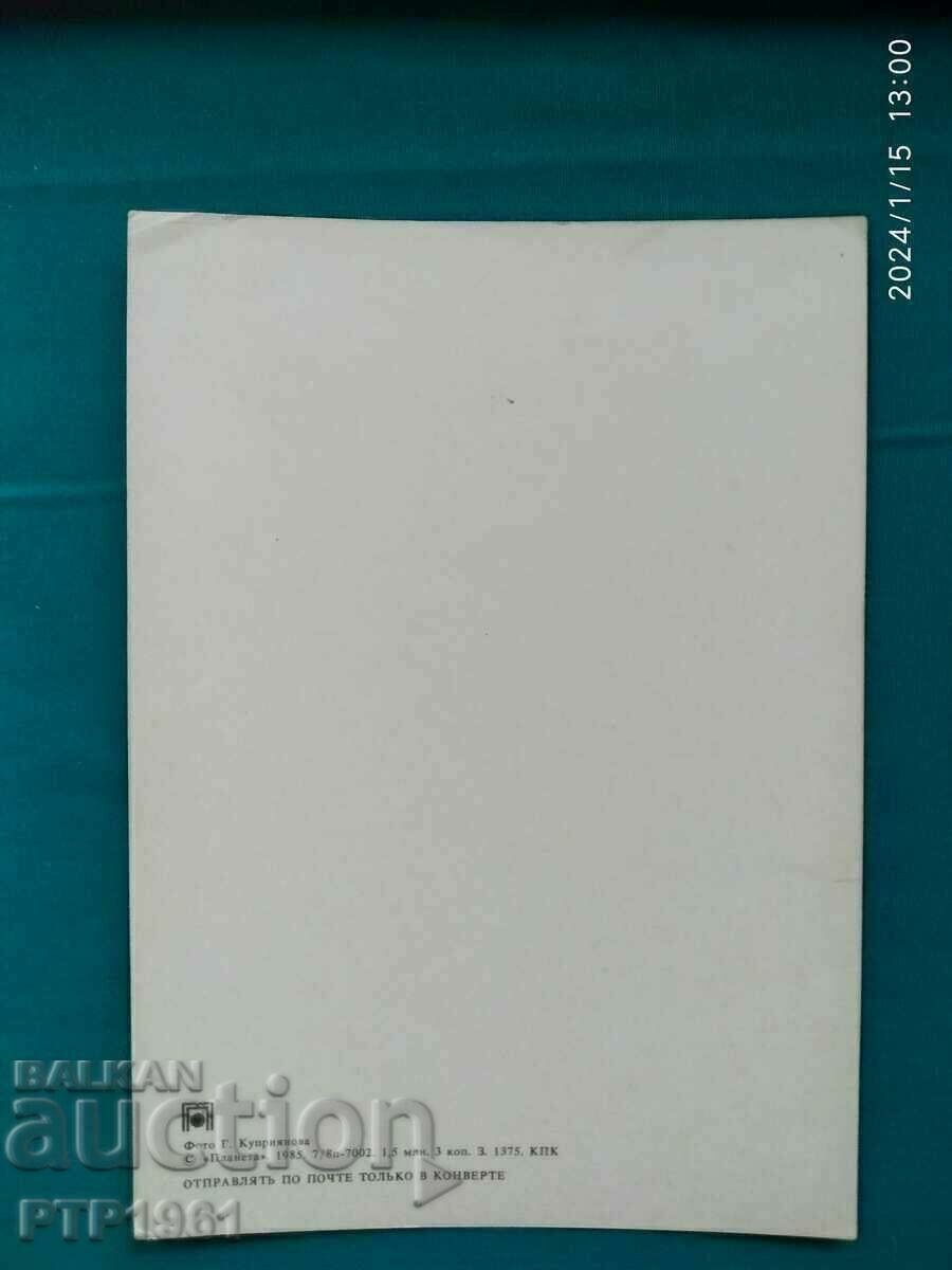 card-dolls with price 1.00 BGN | € 0.51 card-dolls with price 1.00 BGN | € 0.51