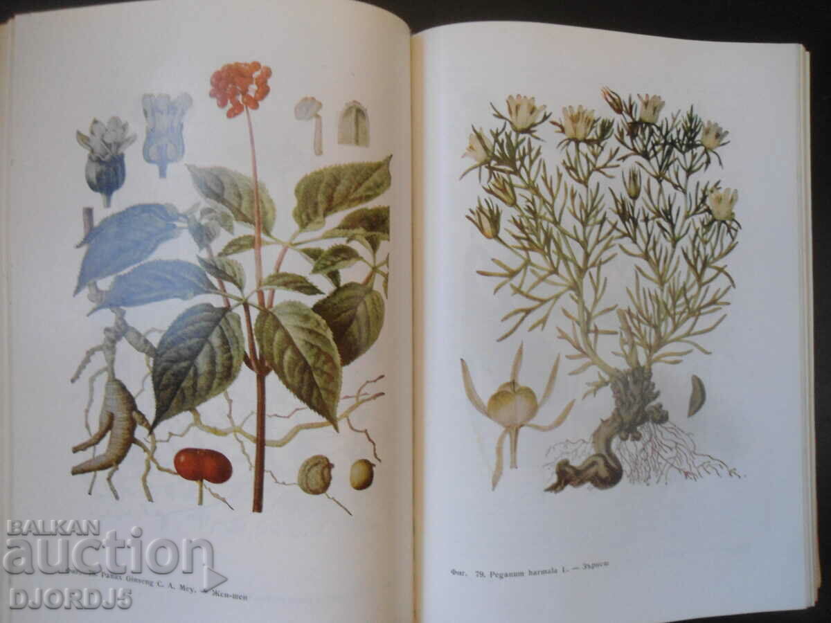 PHYTO THERAPY, Herbal medicine with price 10.00 BGN | € 5.11 PHYTO THERAPY, Herbal medicine with price 10.00 BGN | € 5.11