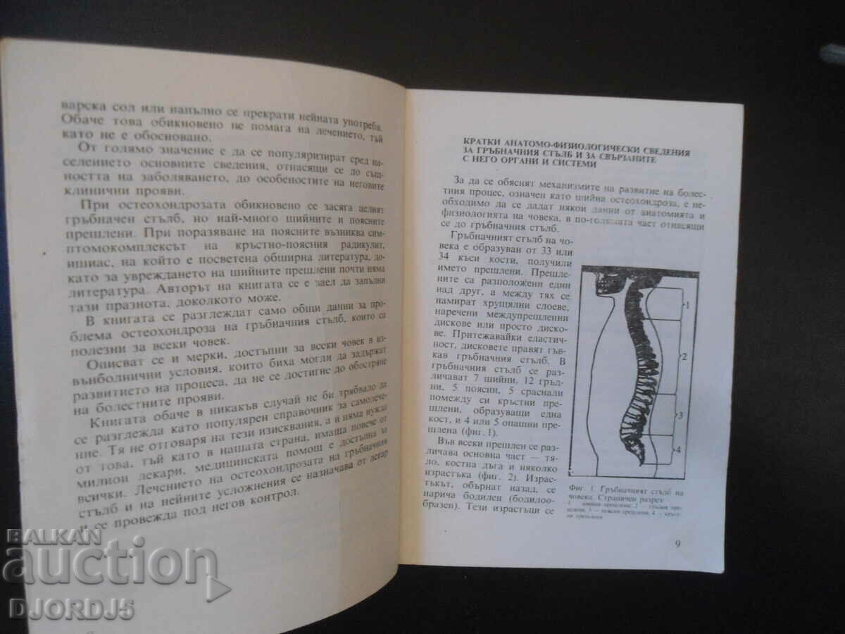Auction Spines on the cervical vertebrae Auction Spines on the cervical vertebrae