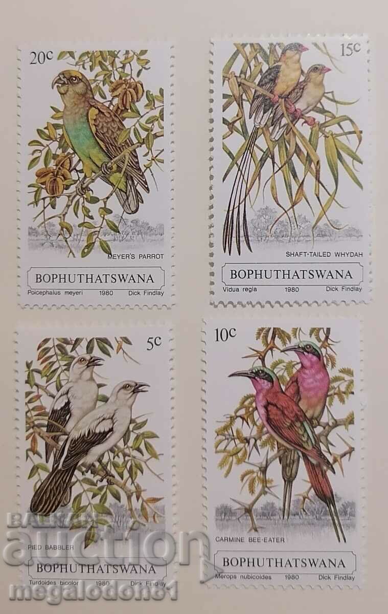 Bohutshatswana (South Africa) - birds