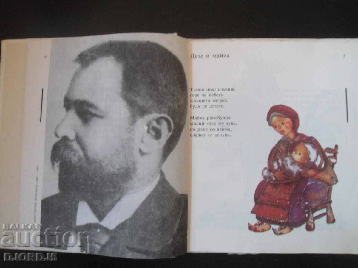 Auction Kukurigu, cockerel Auction Kukurigu, cockerel