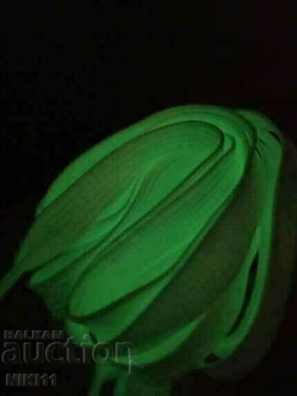Auction  Luminous shoelaces Set of 2 pcs.