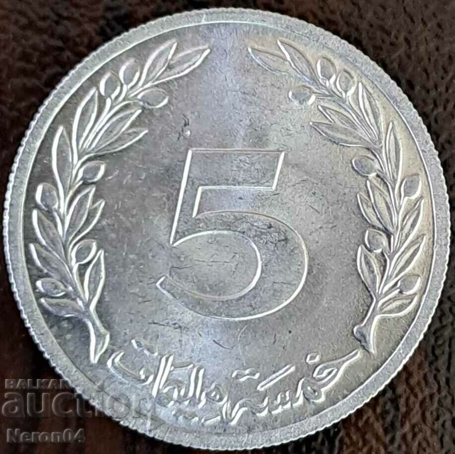 5 χιλιοστά 1983, Τυνησία