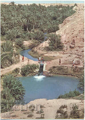 Tunisia - Gabes - oasis - 1974