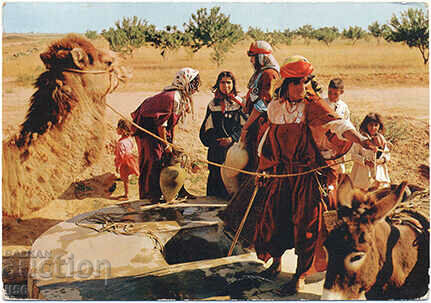 Tunisia - ethnography - watering hole - 1968