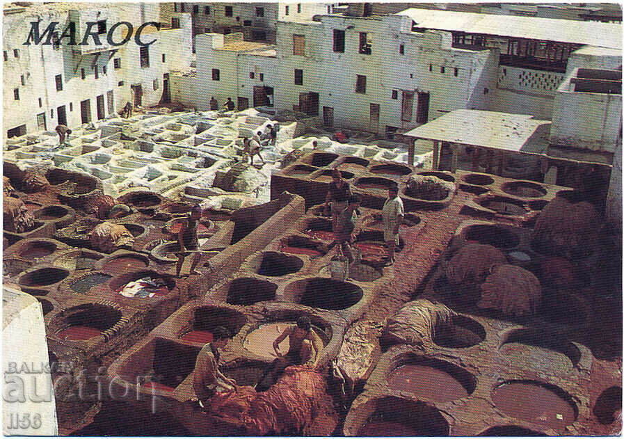 Morocco - Fez - crafts - dyeing skins - 1997