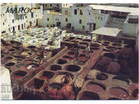 Morocco - Fez - crafts - dyeing skins - 1997