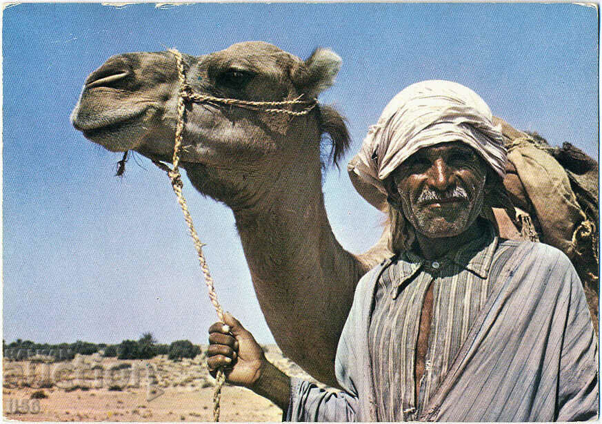 Tunisia - Sud Tunisia - meșteșuguri - șofer de cămilă - 1975