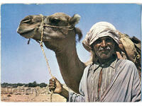Tunisia - South Tunisia - crafts - camel driver - 1975