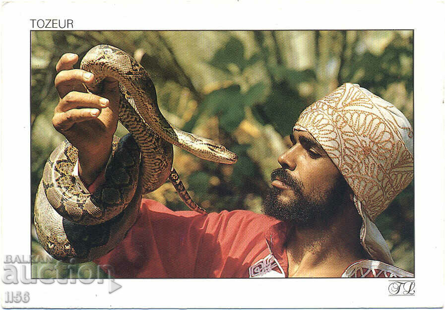 Tunisia - Tozer - crafts - snake charmer - 2002
