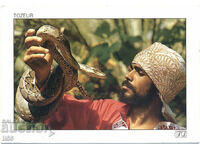 Tunisia - Tozer - meșteșuguri - fermecător de șerpi - 2002