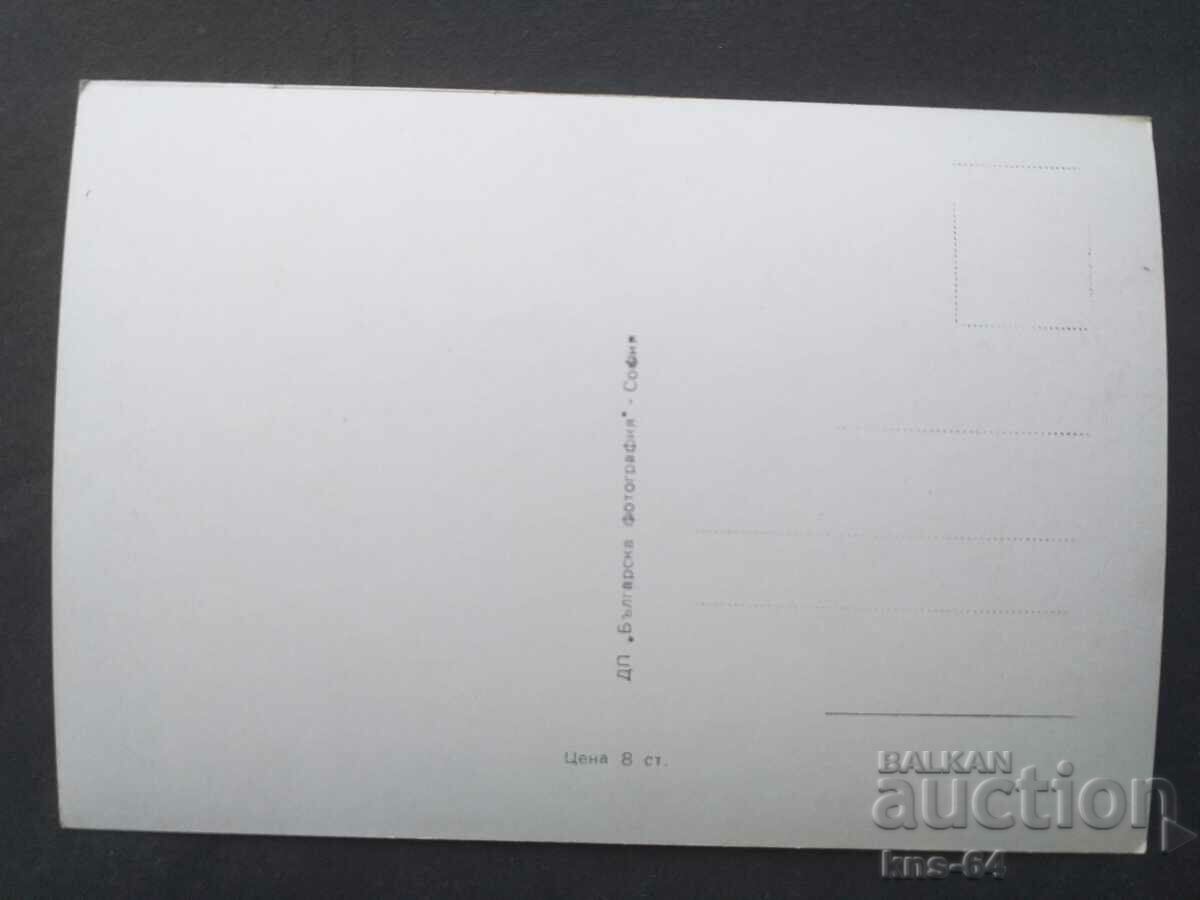 ΦΡΑΝΣΟΥΑΖ ΑΡΝΟΥΛ με τιμή 1.20 BGN | € 0.61 ΦΡΑΝΣΟΥΑΖ ΑΡΝΟΥΛ με τιμή 1.20 BGN | € 0.61