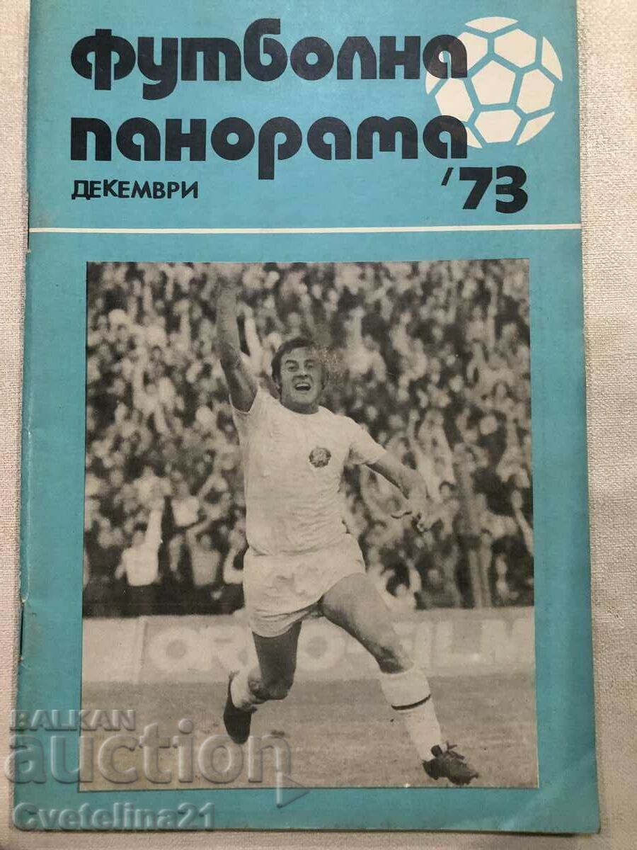 Футбол футболна панорама 73 декември