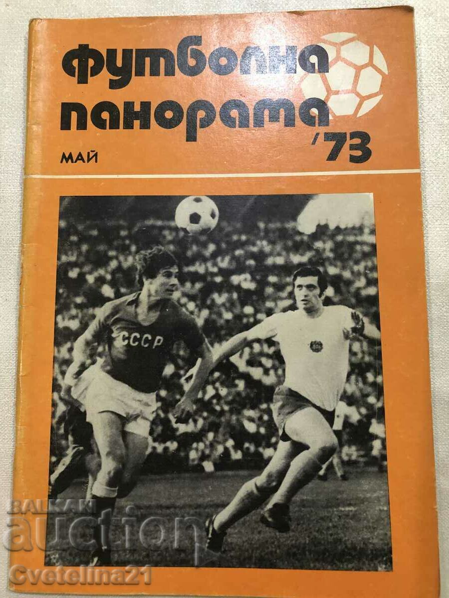 Футбол футболна панорама 73 май