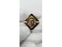 Rare Austro-Hungarian enamel badge 1914 - 1915.