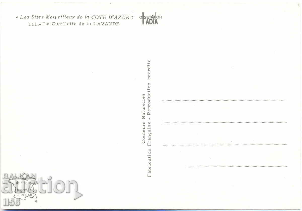 France - Provence - ethnography - lavender harvesting - c.1980 with price 1.20 BGN | € 0.61 France - Provence - ethnography - lavender harvesting - c.1980 with price 1.20 BGN | € 0.61