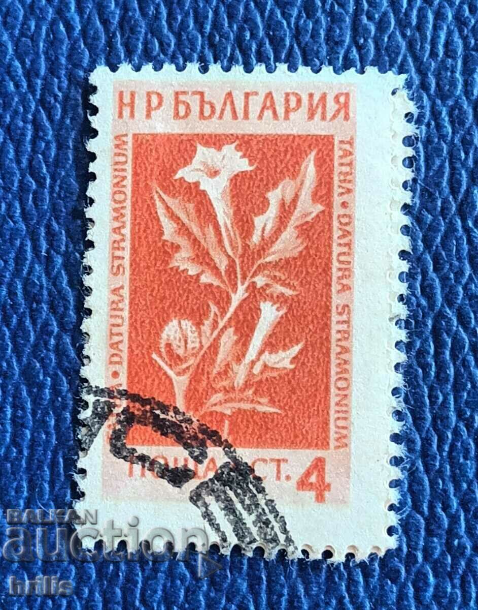 BULGARIA 1953 - FLORA, MEDICINAL PLANTS TATUL