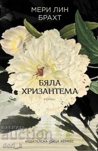 Crizantema albă