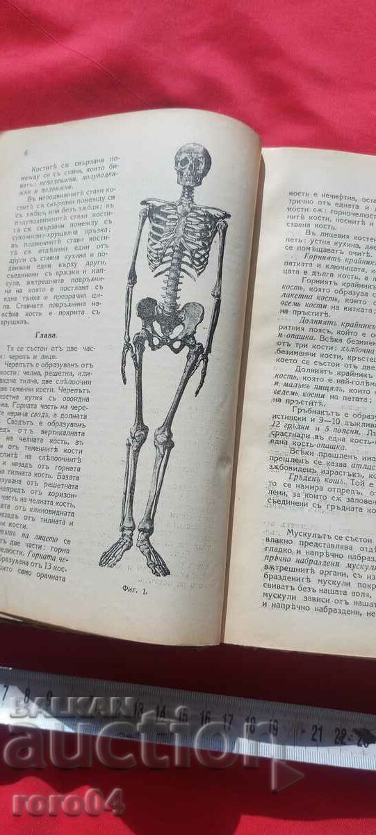 HOME PHYSICIAN - COLLECTIVE - 5 HOME PHYSICIAN - COLLECTIVE - 5