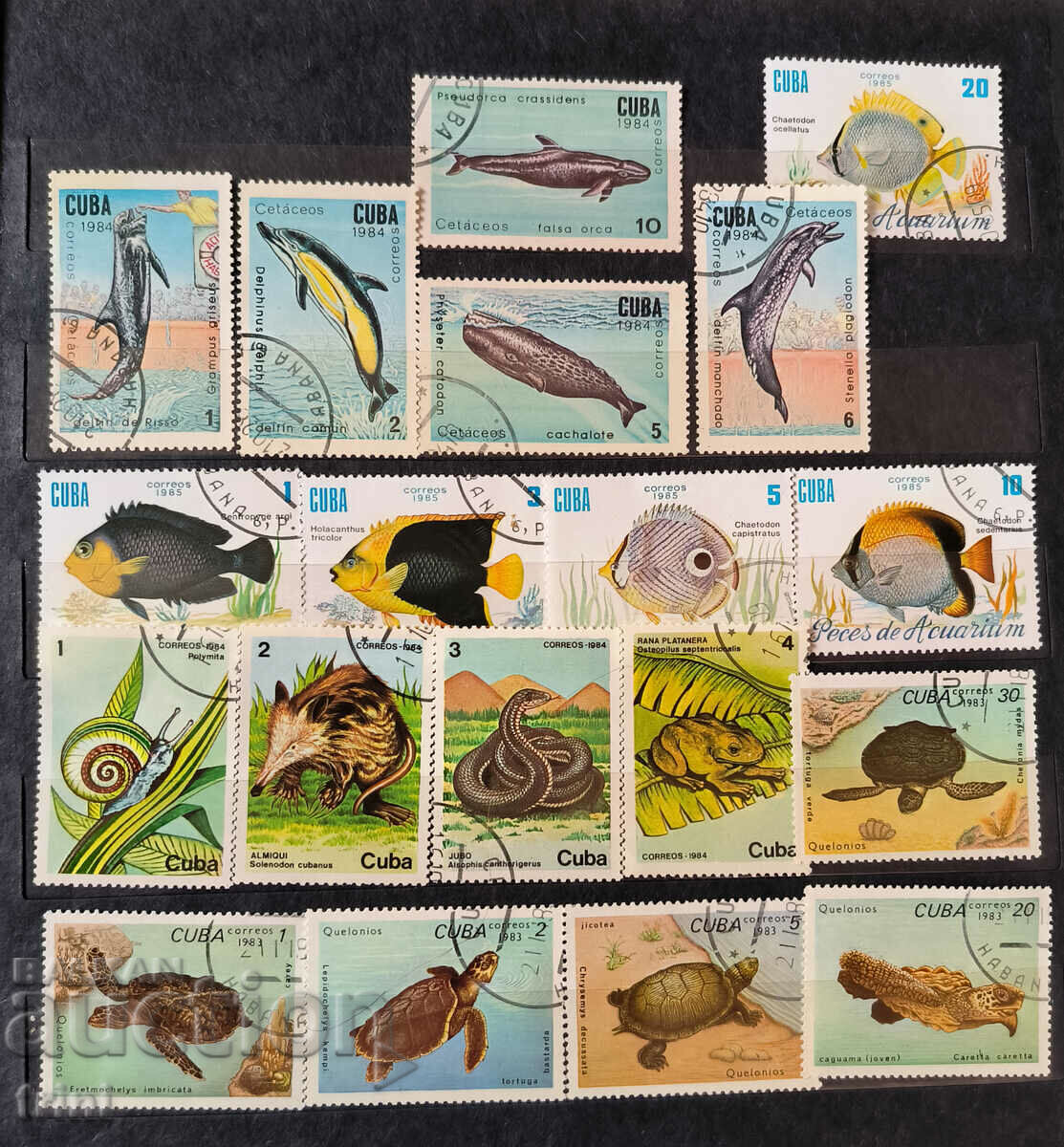 Cuba 1983 - 1985 Fauna Fish Amphibians