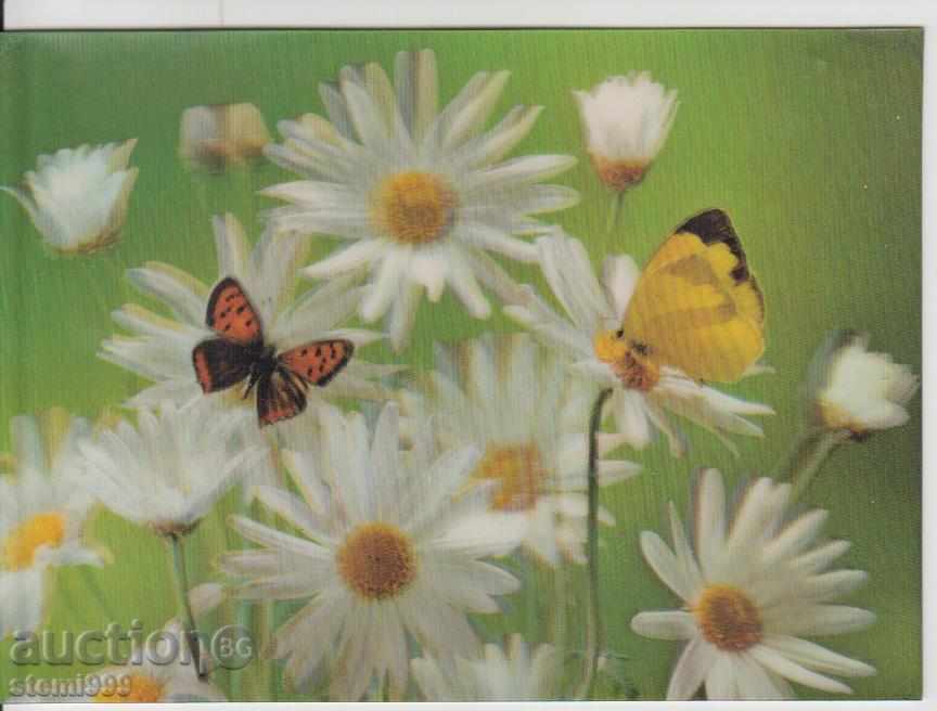 Стерео картичка 3D Цветя и пеперуди флора фауна