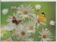 Стерео картичка 3D Цветя и пеперуди флора фауна