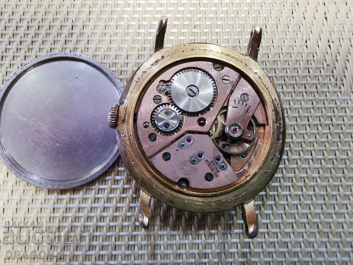 Delivery of GOLDEN ROMONT