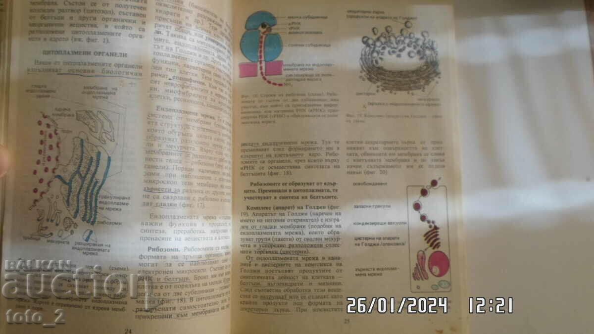 Аукцион УЧЕБНИК по БИОЛОГИЯ ЗА 10 КЛАС Аукцион УЧЕБНИК по БИОЛОГИЯ ЗА 10 КЛАС