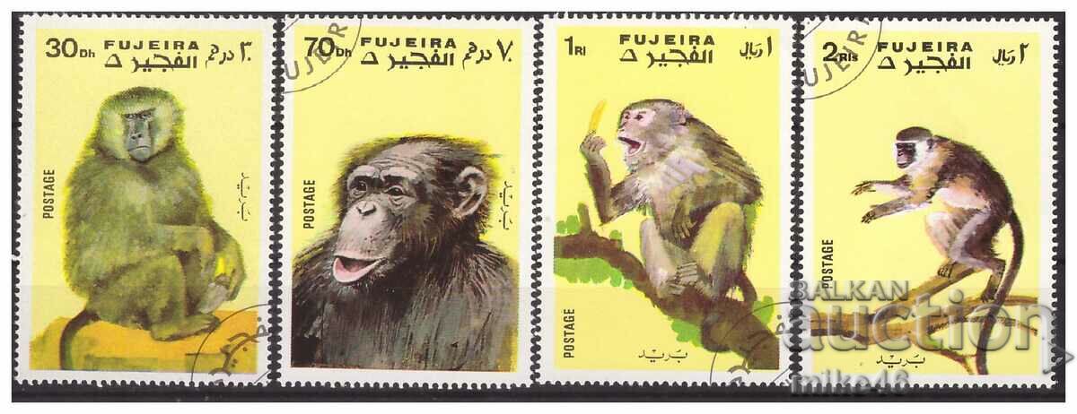 ФУЖЕЙРА 1971 Маймуни малка серия 4 марки С.Т.О.