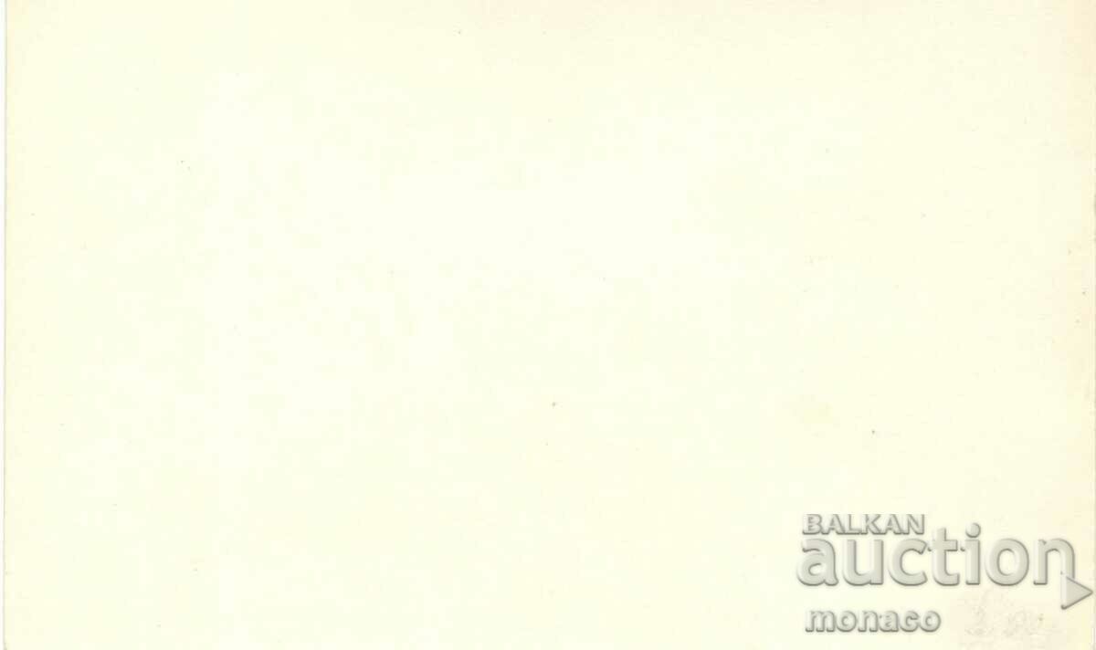 Old postcard - Rousse, Freedom Monument with price 1.70 BGN | € 0.87