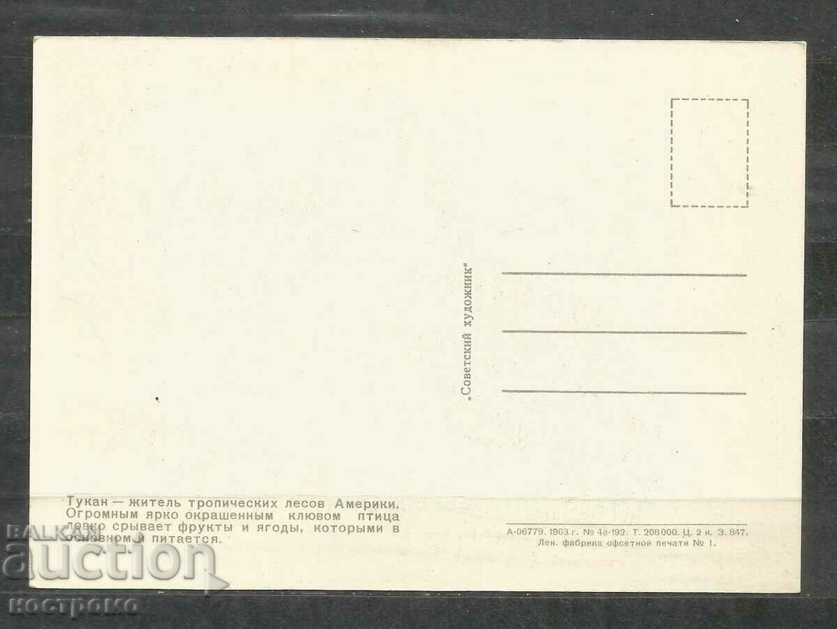 Tucan - Pasăre - Faună - Rusia - Carte poștală - A 3119 cu preț 0.70 BGN | € 0.36 Tucan - Pasăre - Faună - Rusia - Carte poștală - A 3119 cu preț 0.70 BGN | € 0.36