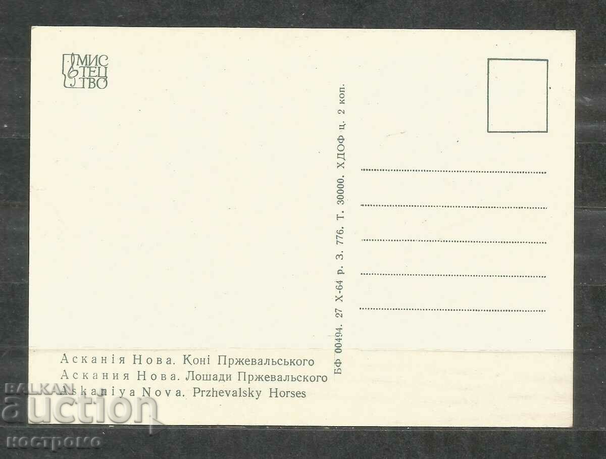 Horses - Fauna - Russia - Post card - A 3121 with price 0.70 BGN | € 0.36 Horses - Fauna - Russia - Post card - A 3121 with price 0.70 BGN | € 0.36