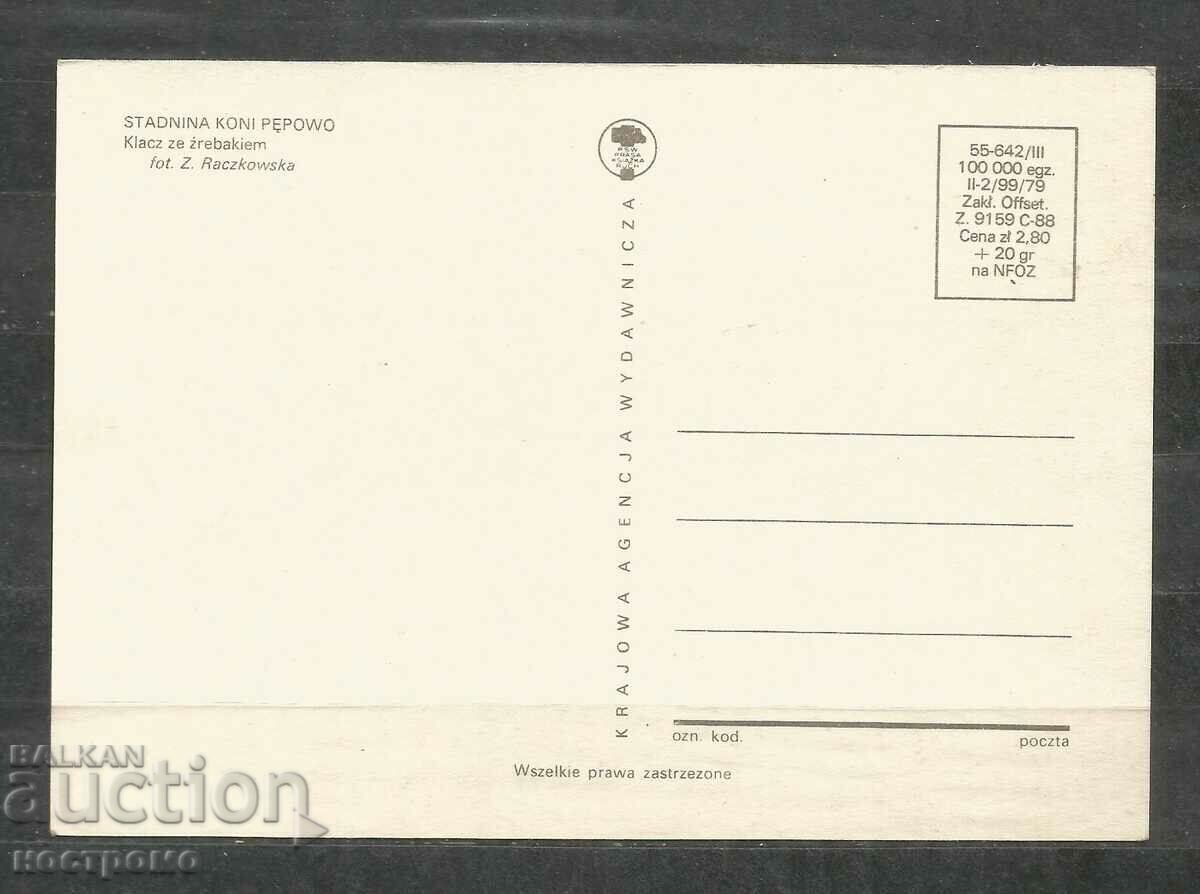 Horses - Fauna - Poland - Post card - A 3122 with price 0.70 BGN | € 0.36 Horses - Fauna - Poland - Post card - A 3122 with price 0.70 BGN | € 0.36