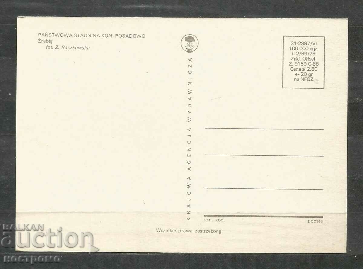 Horses - Fauna - Poland - Post card - A 3123 with price 0.70 BGN | € 0.36 Horses - Fauna - Poland - Post card - A 3123 with price 0.70 BGN | € 0.36