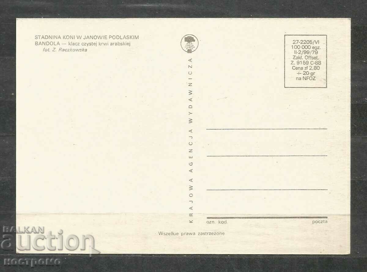 Horses - Fauna - Poland - Post card - A 3124 with price 0.70 BGN | € 0.36 Horses - Fauna - Poland - Post card - A 3124 with price 0.70 BGN | € 0.36