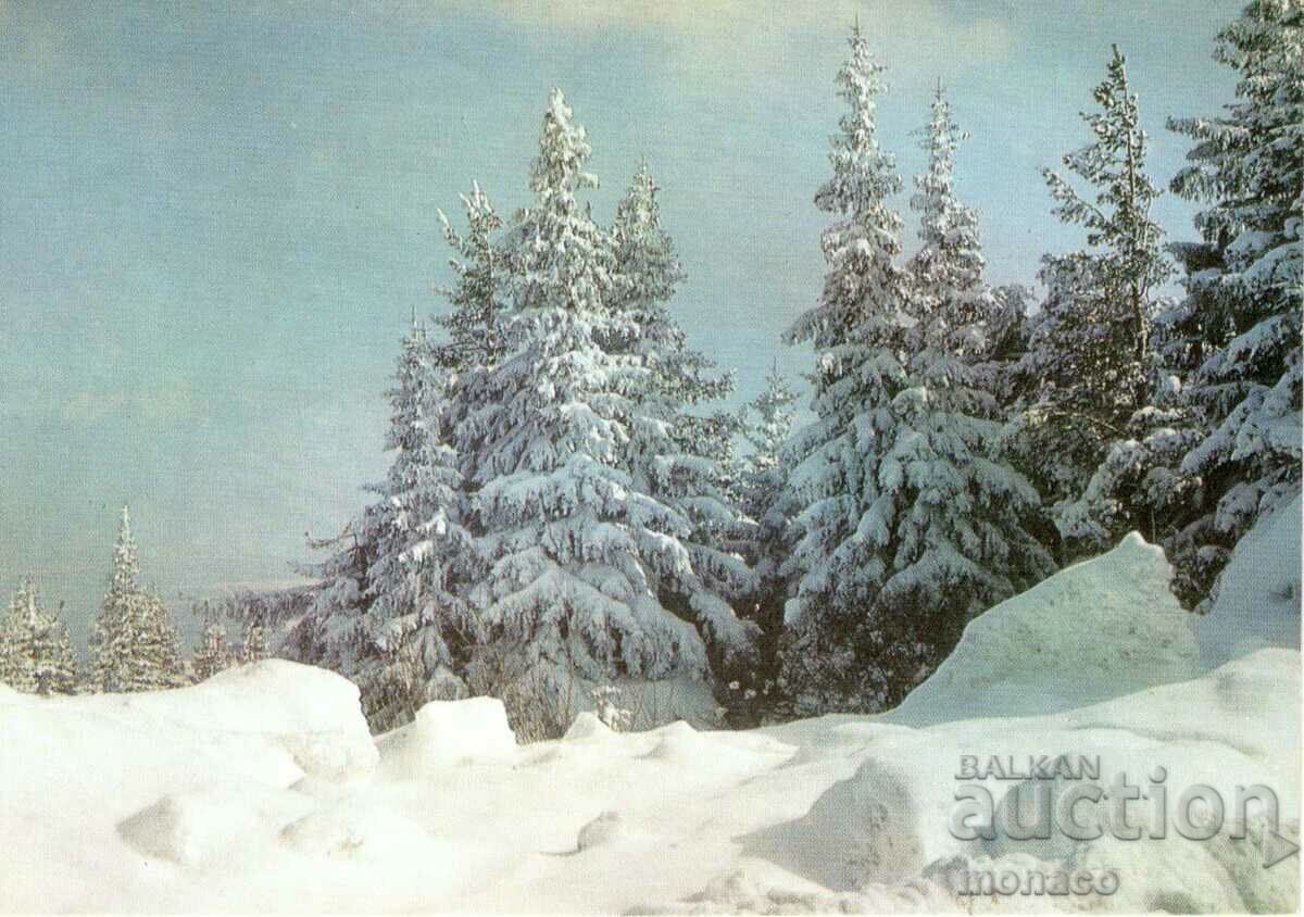 Стара картичка - Снежен изглед