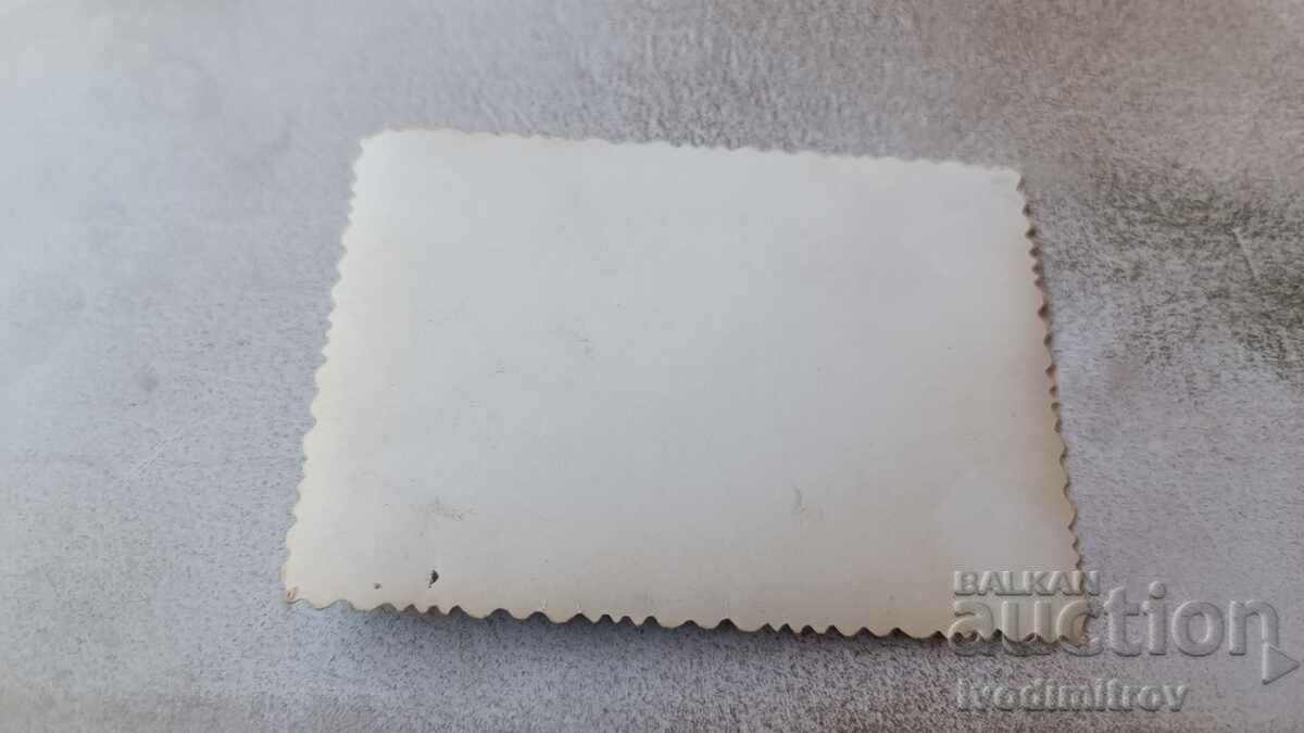 Photo Boy between two bowls of hay with price 1.85 BGN | € 0.95 Photo Boy between two bowls of hay with price 1.85 BGN | € 0.95