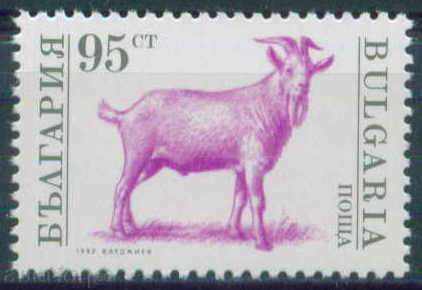 4000 Bulgaria 1992 - animal de fermă ** - Regular