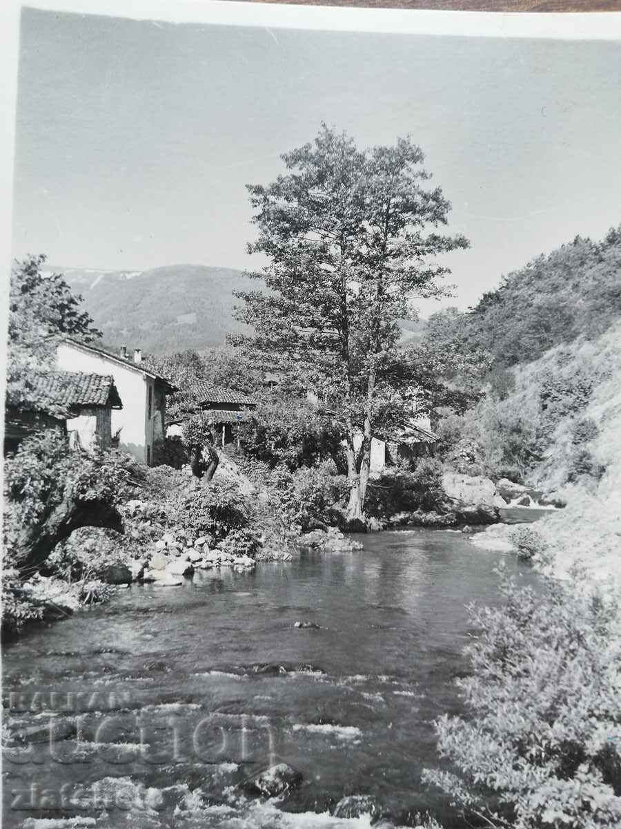 Postal card Bulgaria - Berkovitsa with price 4.00 BGN | € 2.05 Postal card Bulgaria - Berkovitsa with price 4.00 BGN | € 2.05