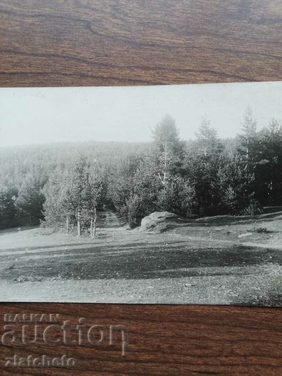 Ταχυδρομική κάρτα Βασίλειο της Βουλγαρίας - Λευκή Εκκλησία με τιμή 20.00 BGN | € 10.23 Ταχυδρομική κάρτα Βασίλειο της Βουλγαρίας - Λευκή Εκκλησία με τιμή 20.00 BGN | € 10.23