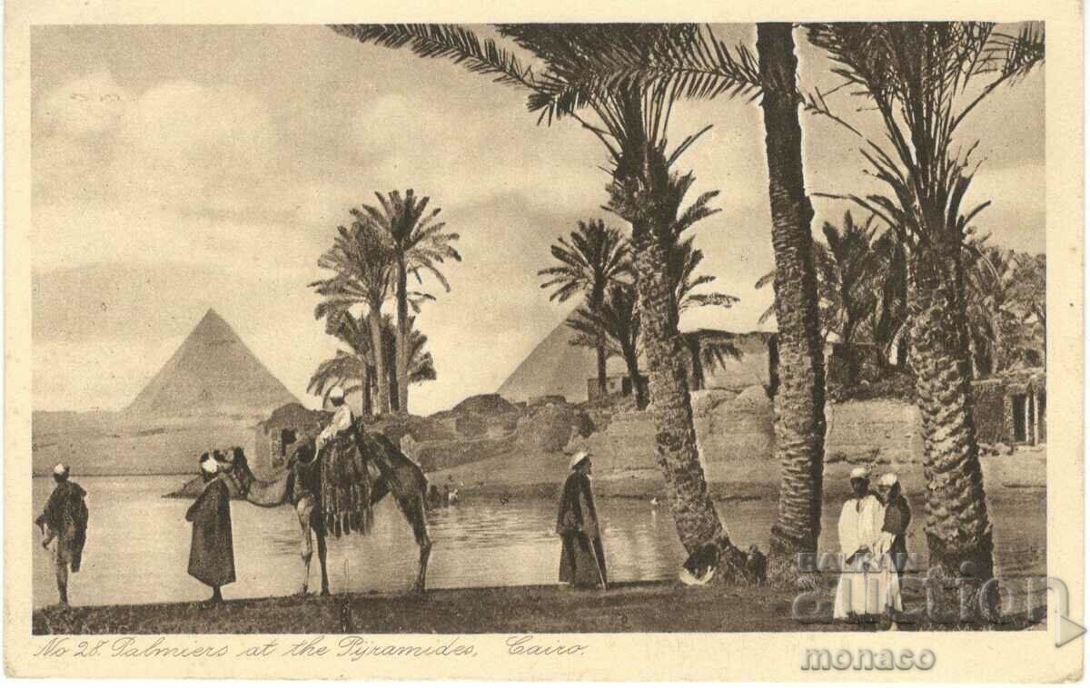 Стара картичка - Кайро, Пирамидите