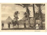 Carte poștală veche - Cairo, Piramidele