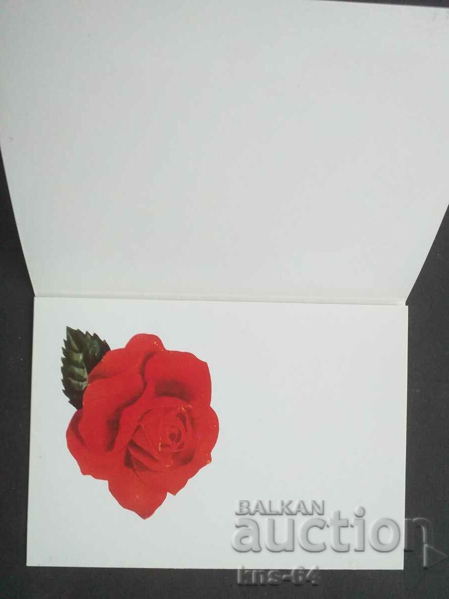 Social propaganda with price 2.50 BGN | € 1.28 Social propaganda with price 2.50 BGN | € 1.28