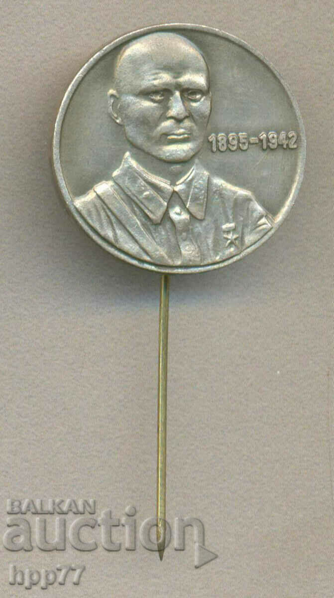 Rare badge General Tsviatko Radoynov